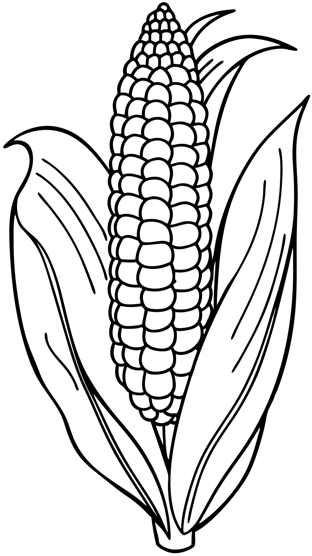 corn on cob coloring page